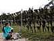 Seaweed dries on a barbed-wire fence at Kyongpo Beach. Seaweed dries on a barbed-wire fence at Kyongpo Beach.